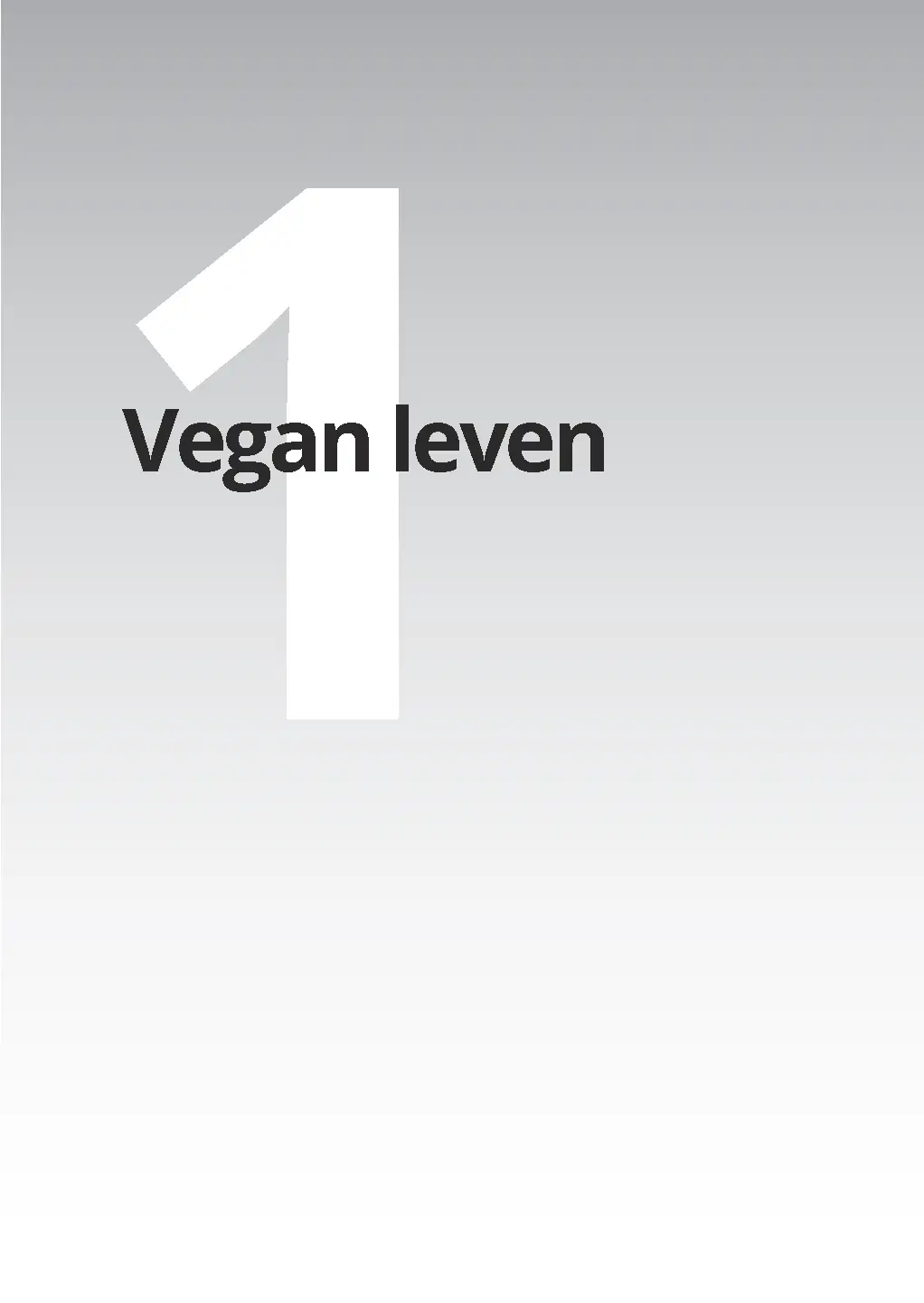 Voorbeeld pagina