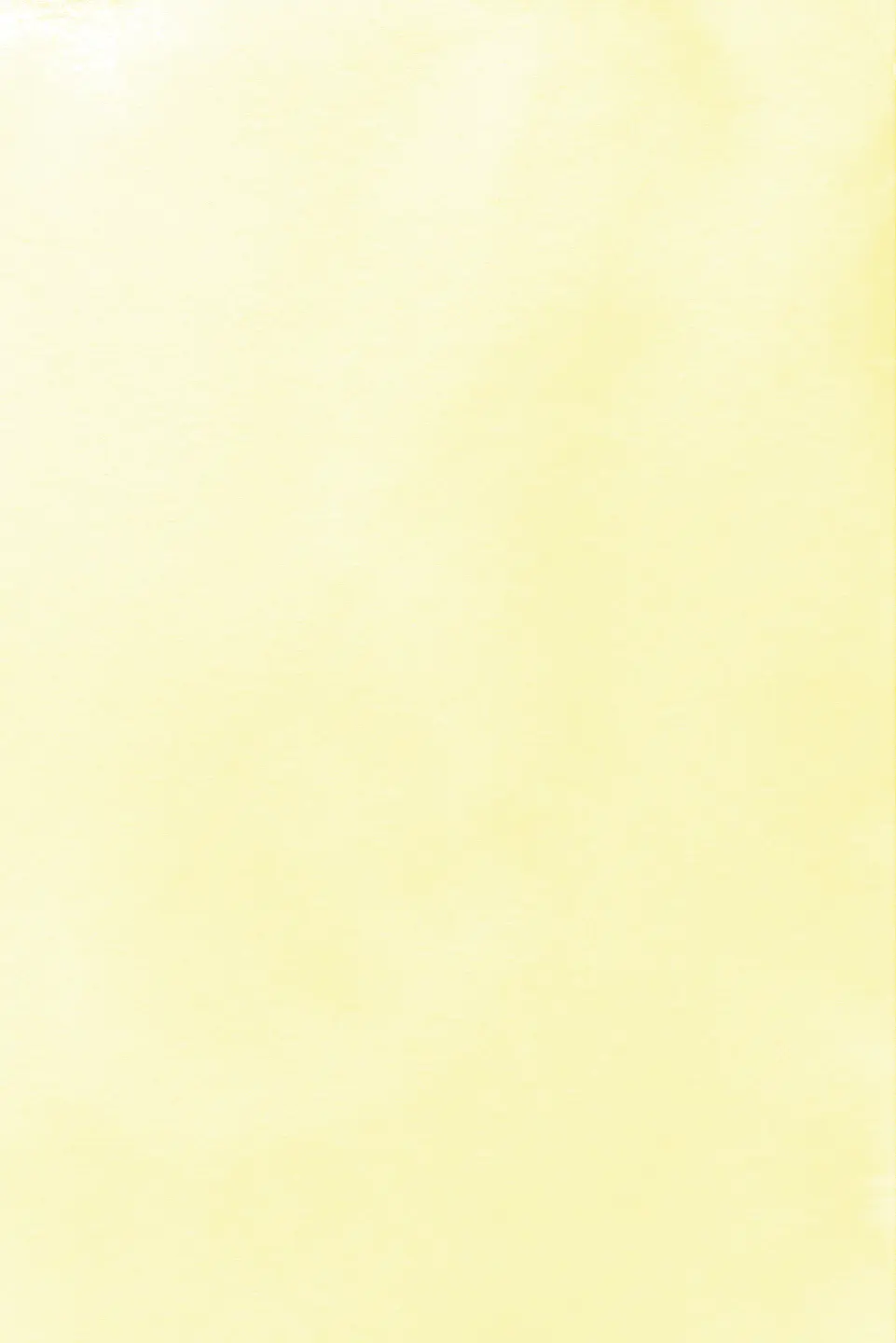 Voorbeeld pagina