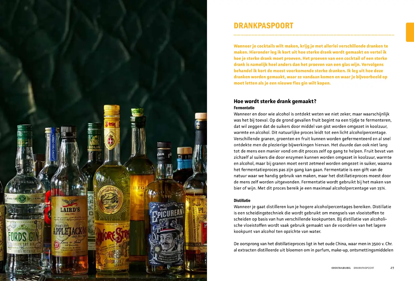 Voorbeeld pagina