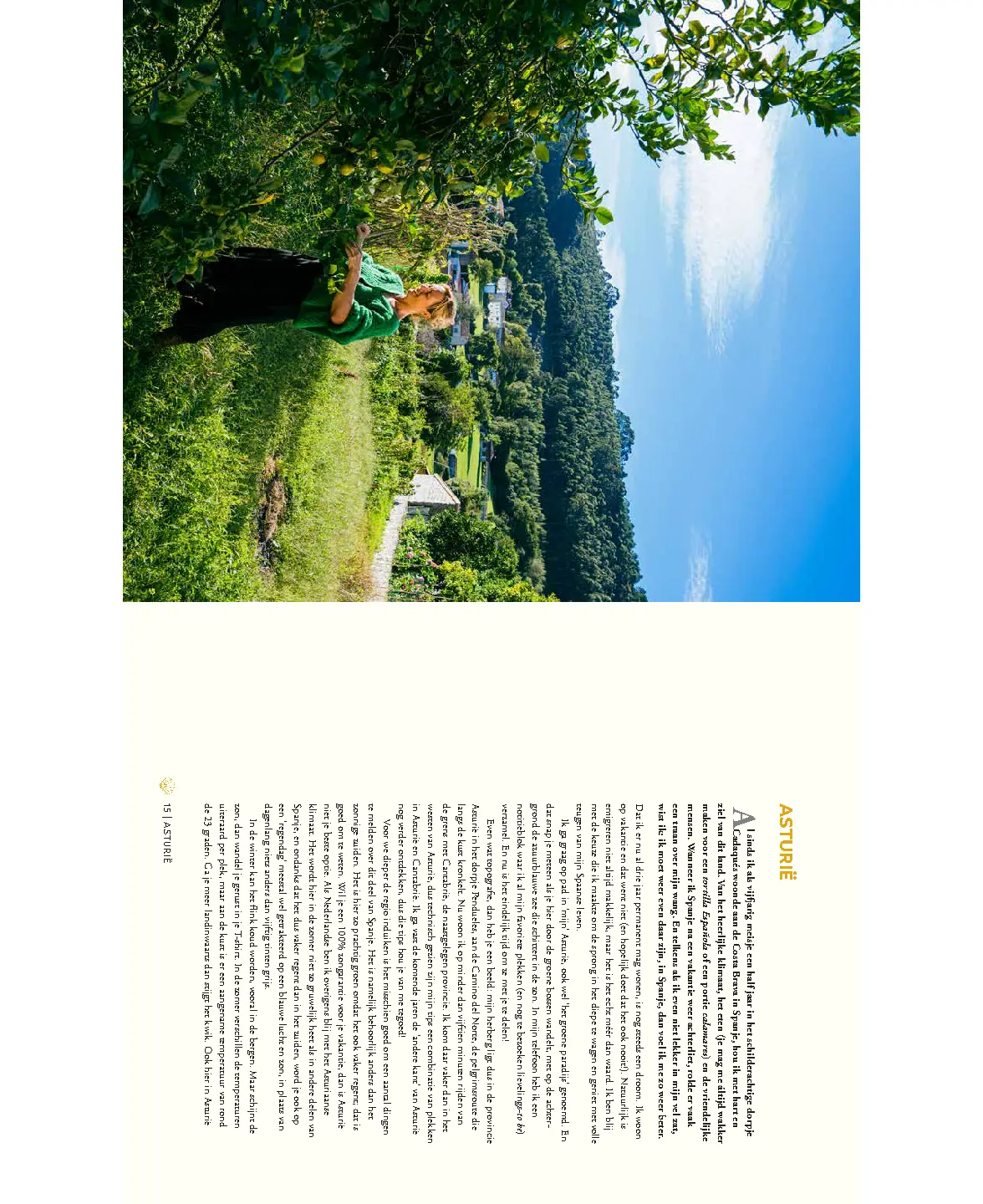 Voorbeeld pagina