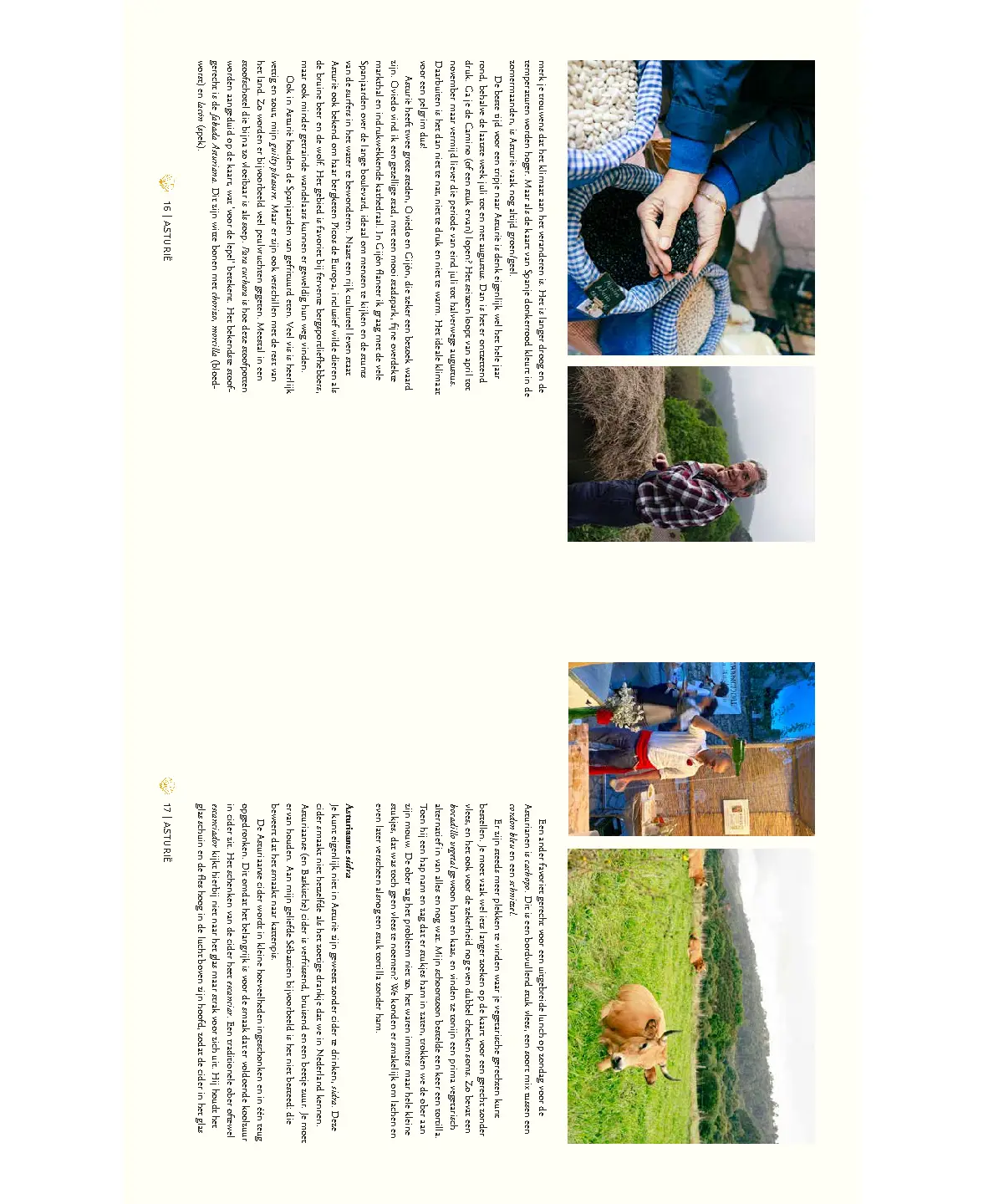 Voorbeeld pagina