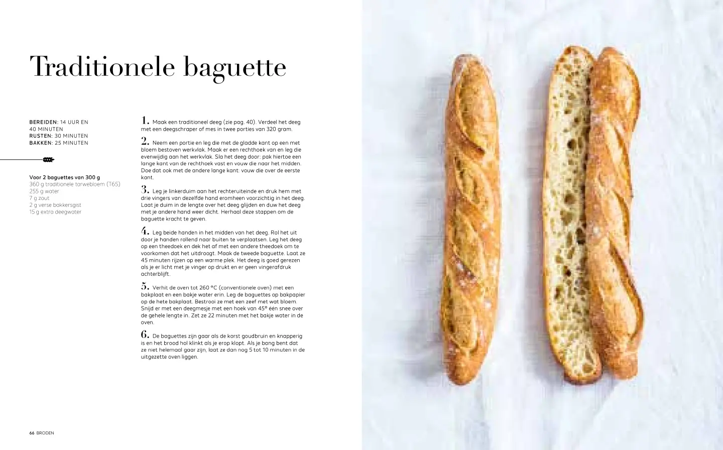Voorbeeld pagina